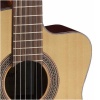 Guitarra Clasica Cort AC120 CE OP Con Funda