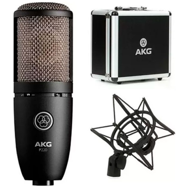 Micrófono Akg P220 Condenser Cardioide Multiproposito - Imagen 5