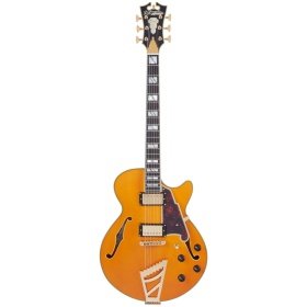 Guitarra Electrica Dangelico Excel SS Semihollow Single-Cut